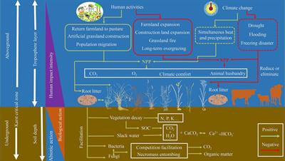 Realizing the value of grassland ecosystem services: global practice and its inspiration for the karst desertification control area